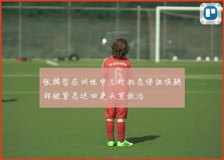 张稀哲在训练中无对抗急停扭伤腿部被紧急送回更衣室救治