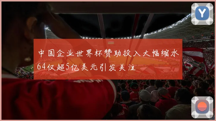 中国企业世界杯赞助投入大幅缩水64仅超5亿美元引发关注